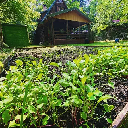 Holiday home Antonowka