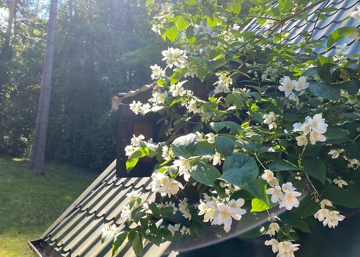 Antonówka Dom wakacyjny *