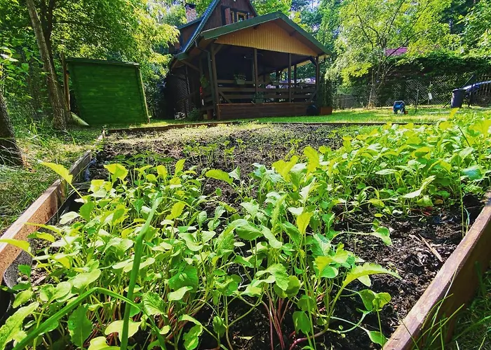 Dom wakacyjny Antonówka